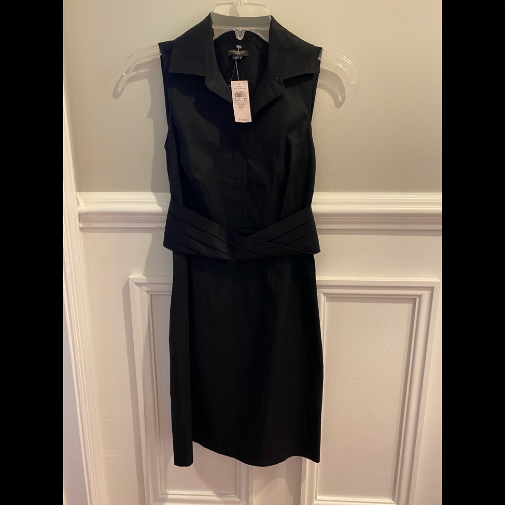 Ann Taylor dress